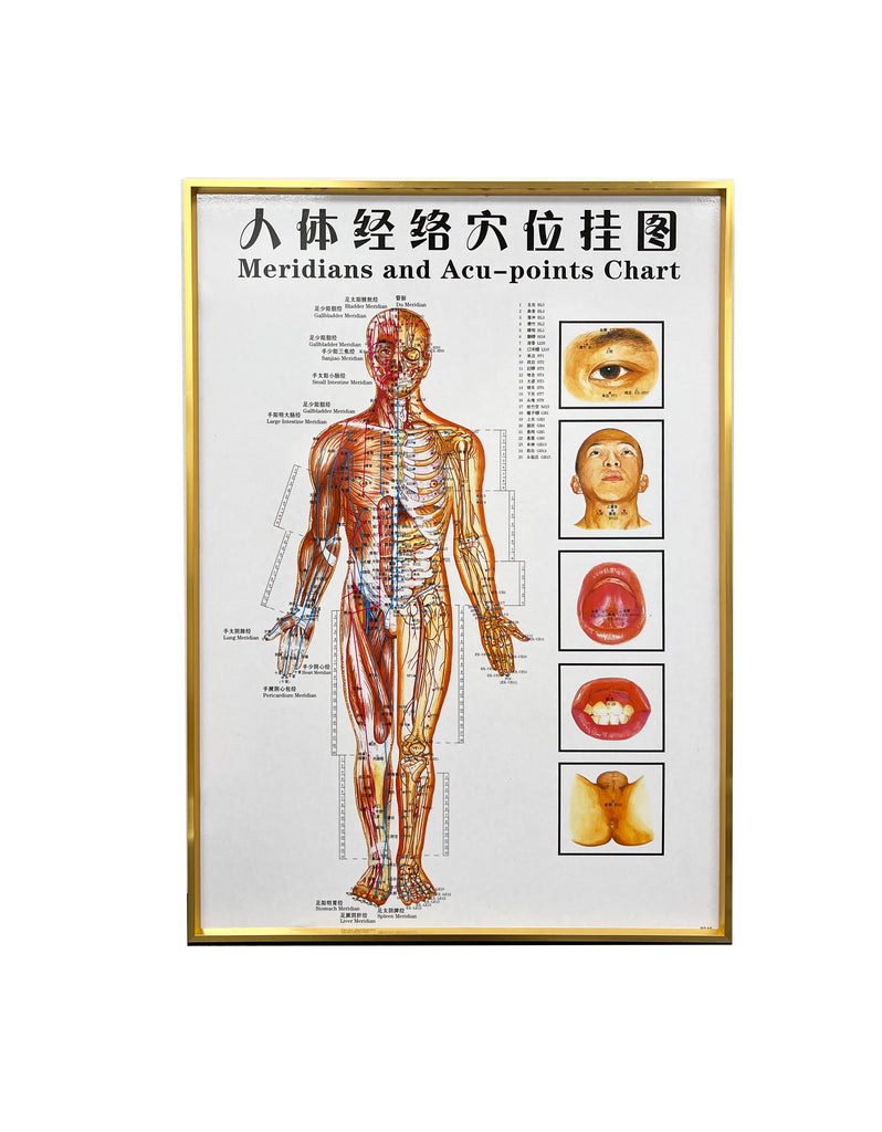 G-01B2 Framed Chinese Acupuncture and Meridians Chart - Acubest