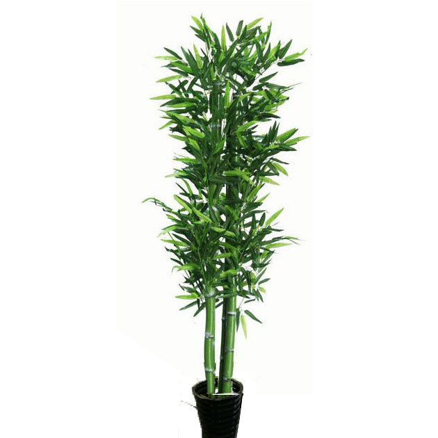 Artificial potted plant: fake fabric/plastic Bamboo: faux plant for spa/clinic decoration: HF098A4 BAMBOO TREE 1.8m - Acubest