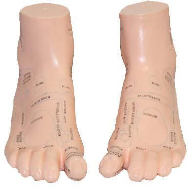 Foot Massage Model / M-05A - Acubest