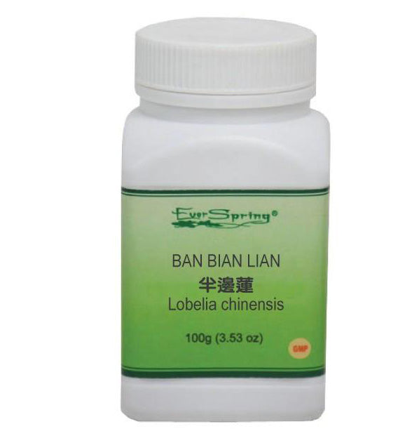 Y019 Ban Bian Lian / Lobelia Chinensis - Acubest