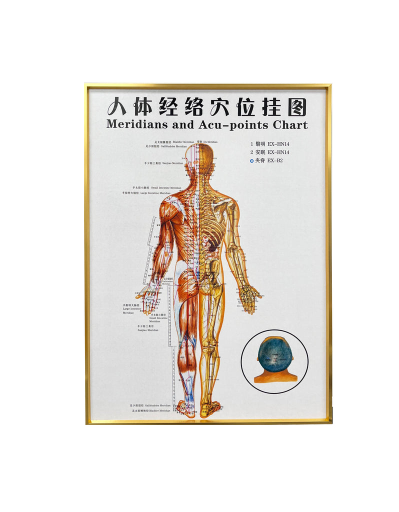G-01B1 Framed Chinese Acupuncture and Meridians Chart - Acubest