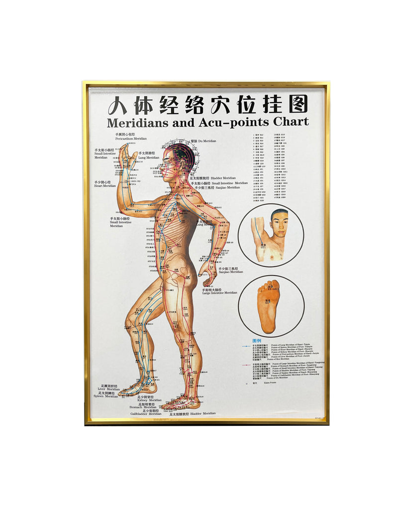 G-01B3 Framed Chinese Acupuncture and Meridians Chart - Acubest