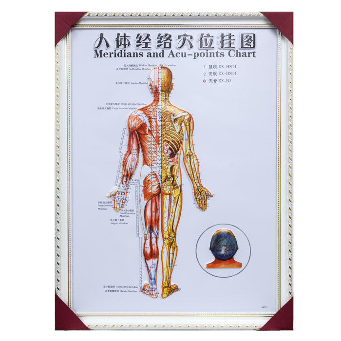 G-01A1 Framed Chinese Acupuncture and Meridians Chart - Acubest