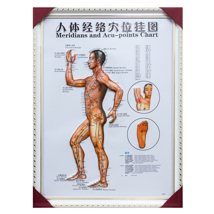 G-01A2 Framed Chinese Acupuncture and Meridians Chart - Acubest