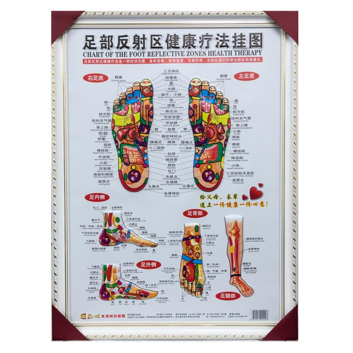 G-01A3 Framed Foot Reflexology Chart - Acubest