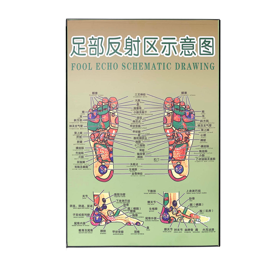 G-04A Foot Chart  / Foot Massage Poster - Acubest