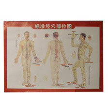 G-02A1 Acupuncture Body Chart - Acubest