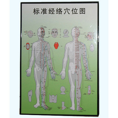 G-06A4 Acupuncture Body Chart - Acubest